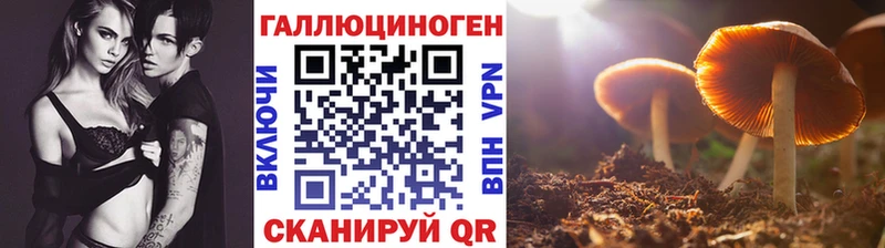 Галлюциногенные грибы мицелий Удомля