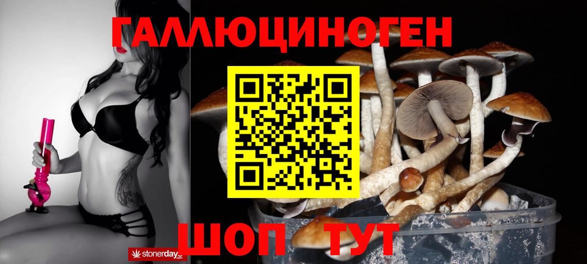 Галлюциногенные грибы ЛСД  Вход с VPN  Удомля 