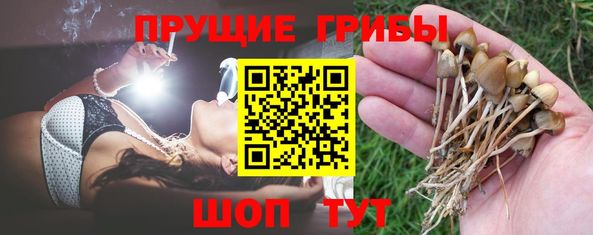 Псилоцибиновые грибы мицелий Удомля